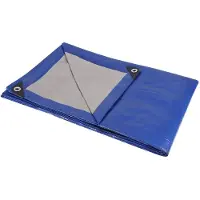 Sencys Afdekzeil Polyethyleen Blauw/zilver 4x6m