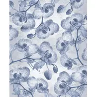Overig Fotobehang Orchidée - Blauw - 2,50m X 200cm