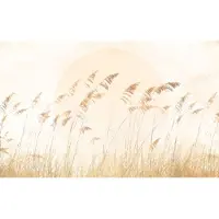 Overig Fotobehang Dune Grass - Bruin - 2,50m X 400cm