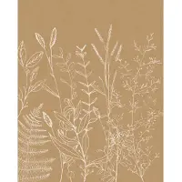 Komar Fotobehang Herbs Garden