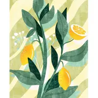 Overig Fotobehang Lemon Fresh - Geel - 2,50m X 200cm