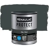 RENAULAC Lak Protect Ral7043 Zijdeglans 750ml
