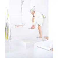 Overig Ridder Bad Opstapje Lex S - Antislip - Chroom