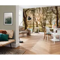 Komar Fotobehang Bold Birch - Meerkleurig - 2,50m X 400cm