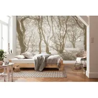 Komar Fotobehang Bleached Birch - Bruin - 2,50m X 300cm