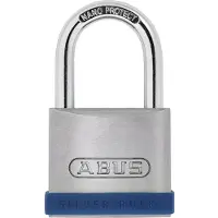 ABUS Hangslot Met Sleutel Tkz5/45 - Massief Zink Voor Poort - Behuizing 45mm