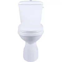 AquaVive Duoblok Toilet Ippari I Ao Aansluiting I Soft-close Toiletzitting Wit