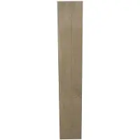 Praxis Houtlook Tegel - Wood Honey - Licht Eikenhout - 20x120 Cm - 0,96 M²