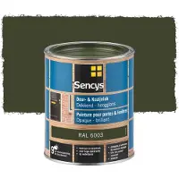Sencys Lak Voor Deurenen Ramen Hoogglans Ral6003 750ml