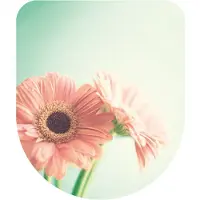 Aquazuro Wc-bril - Duroplast - D-vorm - Softclose - Verstelbaar - Quick Release - Met Bloemenprint