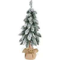 Everlands Tora boom d30h80cm groen/wit