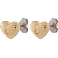 Fossil Oorbellen 'Sadie' goud / zilver / transparant