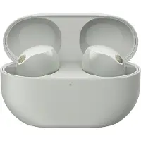 Sony WF-1000XM6 Echt Draadloze Geluidsonderdrukkende Oordopjes - Zilver