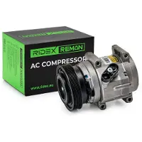 RIDEX 447K0012R Aircopomp