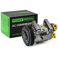 RIDEX 447K0311R Aircopomp