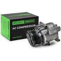 RIDEX 447K0184R Aircopomp