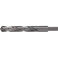 RUKO 2004200 HSS-G Spiraalboor 20 mm Gezamenlijke lengte 205 mm DIN 338 13mm-snelspanboorhouder 1 stuk(s)