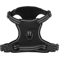 vidaXL Hondentuigje met riem en halsband verstelbaar XL zwart