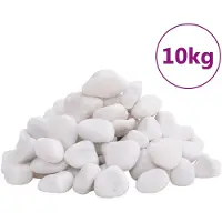 vidaXL Kiezelstenen gepolijst 2-5 cm 10 kg wit