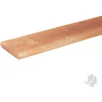 Elephant Schuttingplank - Douglas Gezaagd - 2,6x19,5x250cm - Pefc