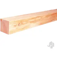 Elephant Tuinpaal Vierkant Onbehandeld - Douglas - 120x120mm - Lengte 300cm