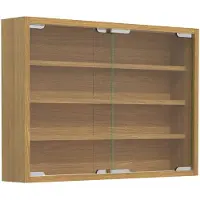 VCM AgisaM glazen vitrines wandmontage 2 schuifdeuren beuken decor.