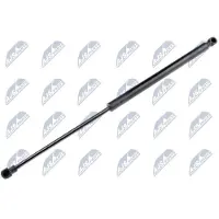 NTY AE-AU-038 Gasveer achterklep