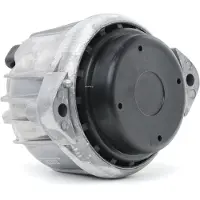 Delphi TEM099 Motorsteunlager