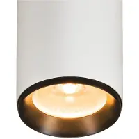SLV Opbouwspot Numinos XL Dali wit/zwart 2700K - 60gr