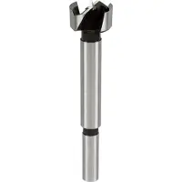 Einhell Forstner bit (20 mm)