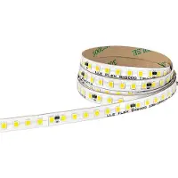 Tridonic 10x LED Module | 6500K 28003621