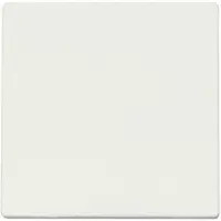 ION Industries Bedieningswip | Wisselschakelaar V1/J1 Mat Alpin Wit | IP20