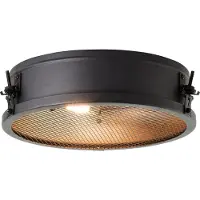 Brilliant Industriële plafondlamp Zois Ø 34cm