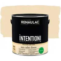RENAULAC Intention Muurverf - Extra Mat - Calm Down - 2,5l