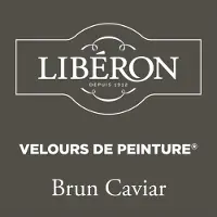 Liberon Muurverf Velours De Peinture Brun Caviar Fluweel Mat 500ml