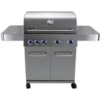 Central Park gasbarbecue Pasadena 17kW zilver