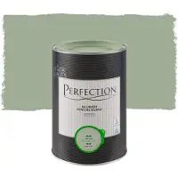 Perfection Ultradekkend Muurverf - Mat - Aloë Vera - 1l