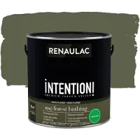 RENAULAC Muur- En Plafondverf Intention Forest Bathing Extra Mat 2,5l
