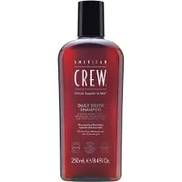 American Crew Hair & Body Daily Silver Shampoo 250 ml