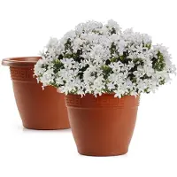 PlasticForte Plantenpot - 2x - terracotta bruin - 20x15 cm - bloempot - kunststof - rond
