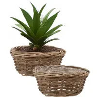 DK Design Plantenmand/aardappelmand tafelmodel - 2x - Ivy - met binnenzak - rotan - B30 x H13 cm - binnen/buiten