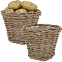 DK Design Plantenmand/aardappelmand tafelmodel - 2x - Ivy - met handvatten - rotan - B25 x H22 cm - binnen/buiten