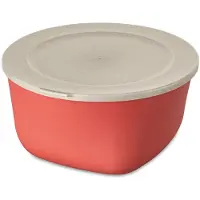 Koziol Vershouddoos Koziol Bio-Circulair Connect Box Nature Coral 4L