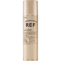 Ref Styling Shine Spray 050