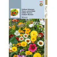 Hortitops 5 stuks HTS Eetbare bloemen mengsel