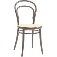 TON No 14 Eetkamerstoel Koffie / Rotan - Stoelen Beuken Coffee - 315 014-004629