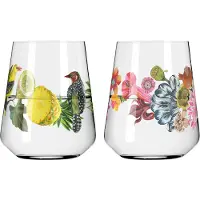 Ritzenhoff Waterglas Sommertau #1 #2 500 ml (Set van 2)