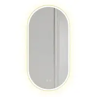 REA Led Ovl Badkamerspiegel Goud 50X100Cm