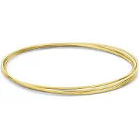Isabel Bernard Armband goud