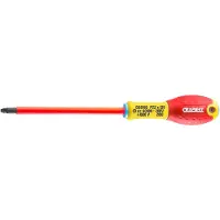Expert by Facom Geïsoleerde Schroevendraaier 1000V | PZ2 x 125 - E165419